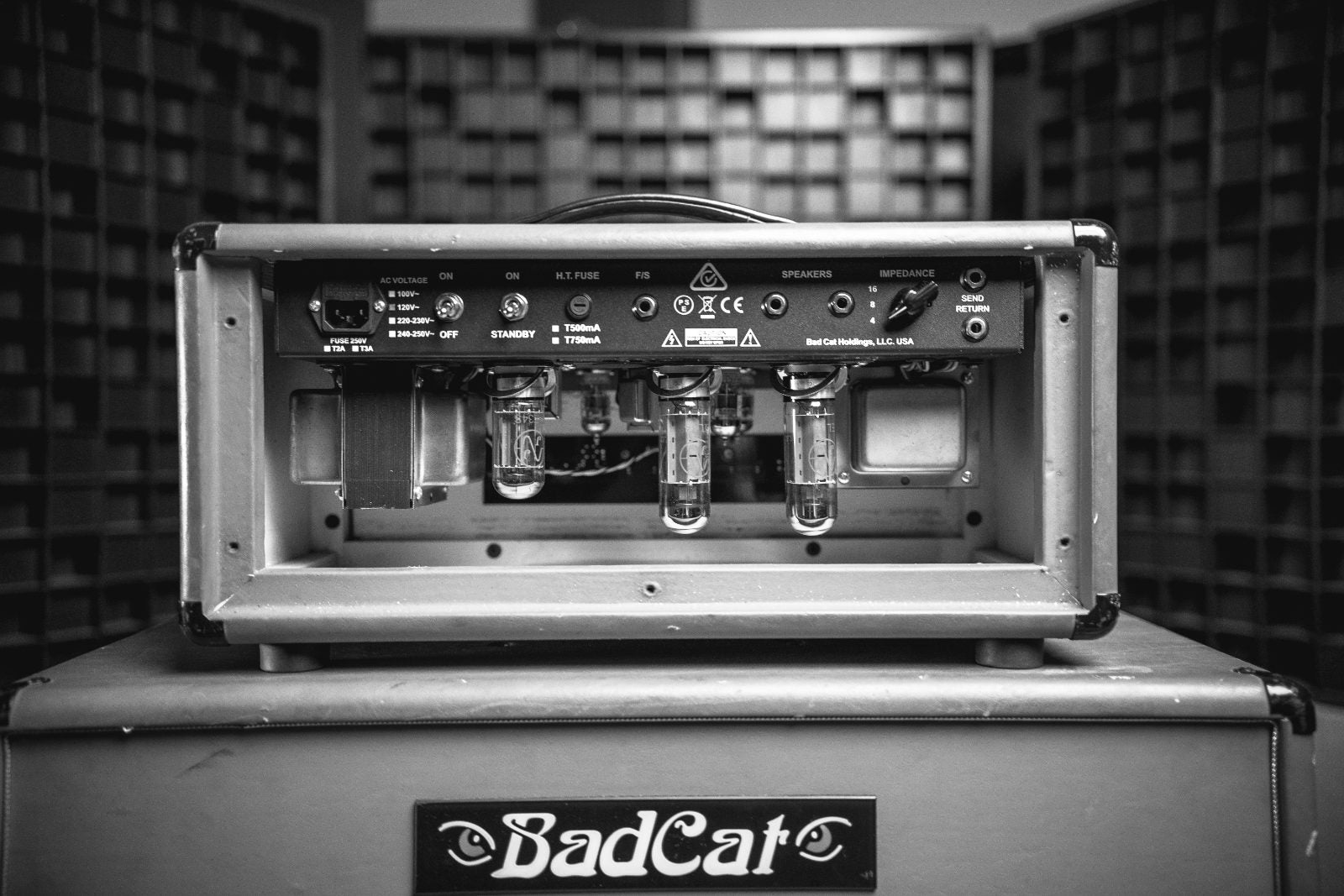 Back of a Bad Cat tube amp head showing its power tubes